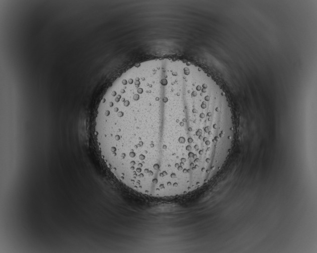 X0000095690210200801291224