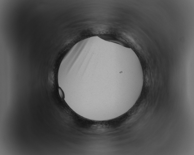 X0000095690211200801291224