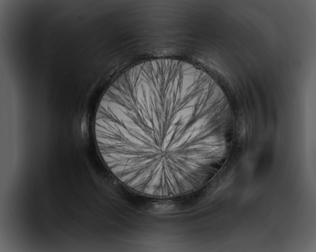 X0000095690214200801291223