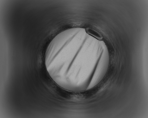 X0000095690215200801291223