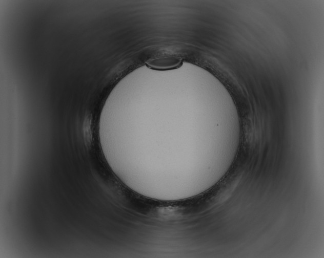 X0000095690216200801291223