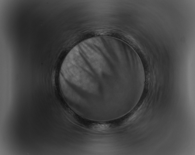 X0000095690217200801291223