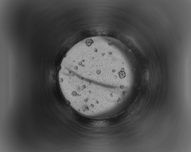 X0000095690218200801291223