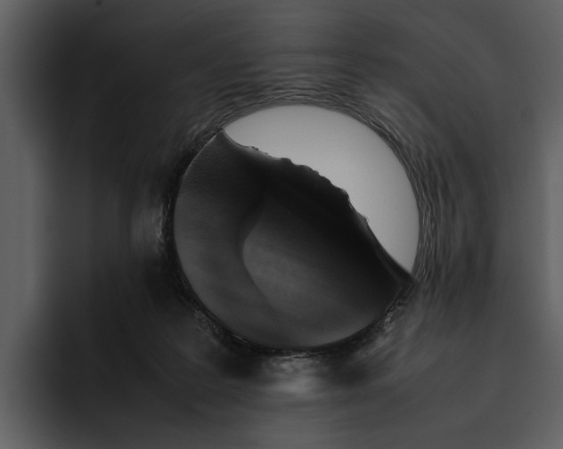 X0000095690219200801291223