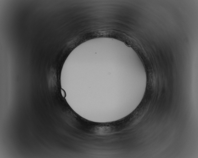 X0000095690220200801291223