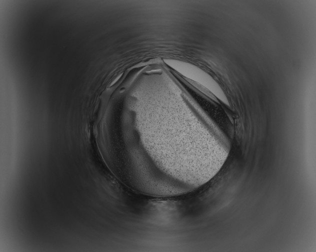 X0000095690221200801291223