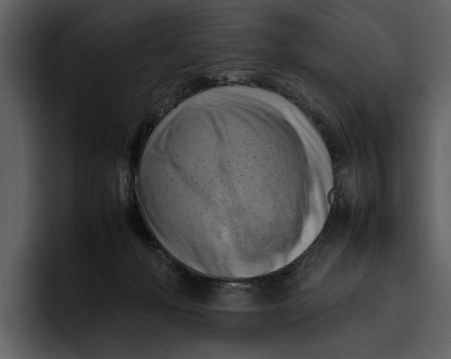 X0000095690222200801291223