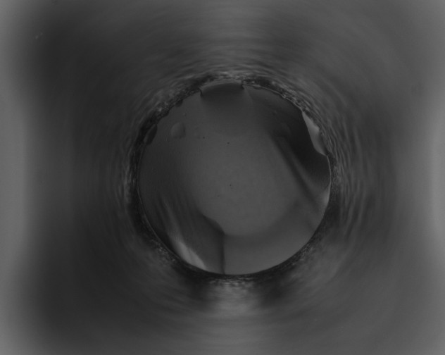 X0000095690223200801291223