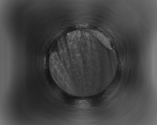 X0000095690224200801291223