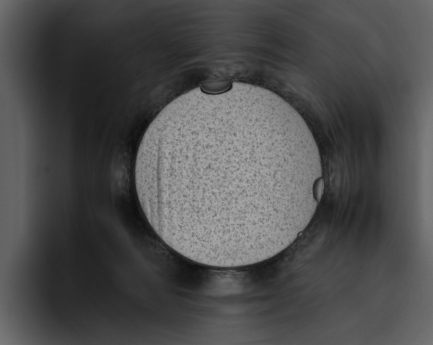 X0000095690226200801291223