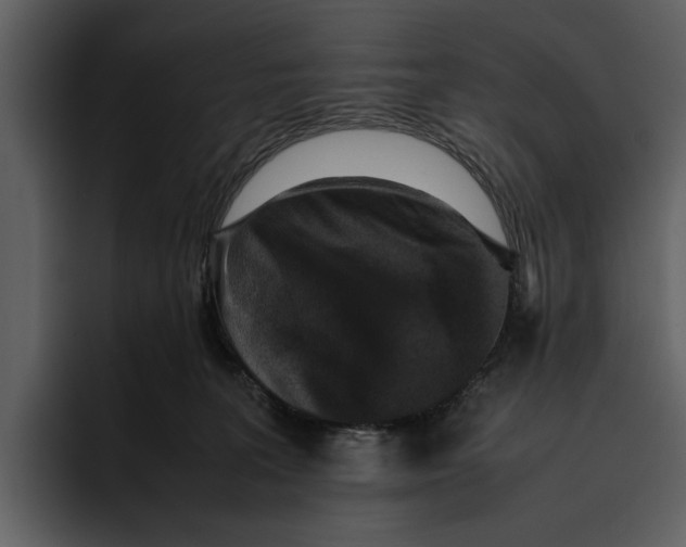 X0000095690227200801291223