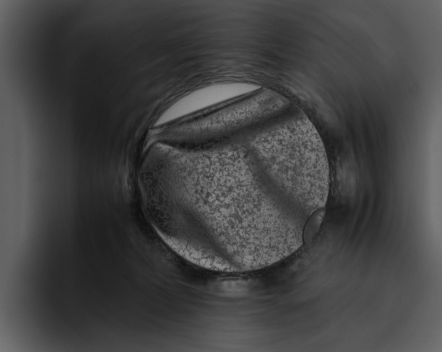 X0000095690228200801291223