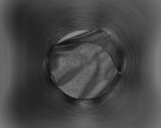 X0000095690229200801291223