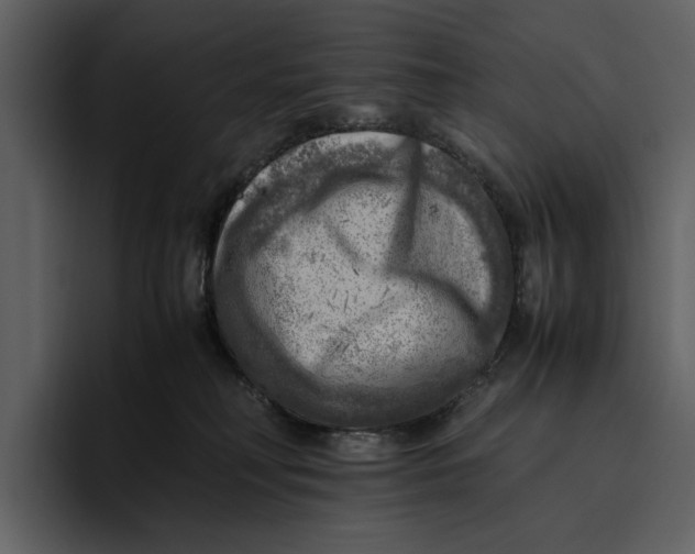 X0000095690230200801291223