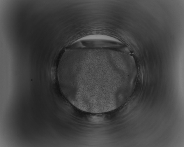 X0000095690232200801291223