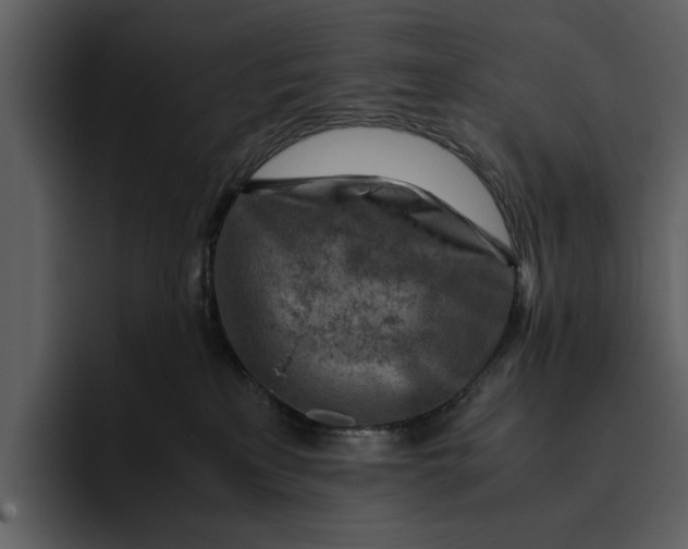 X0000095690233200801291223