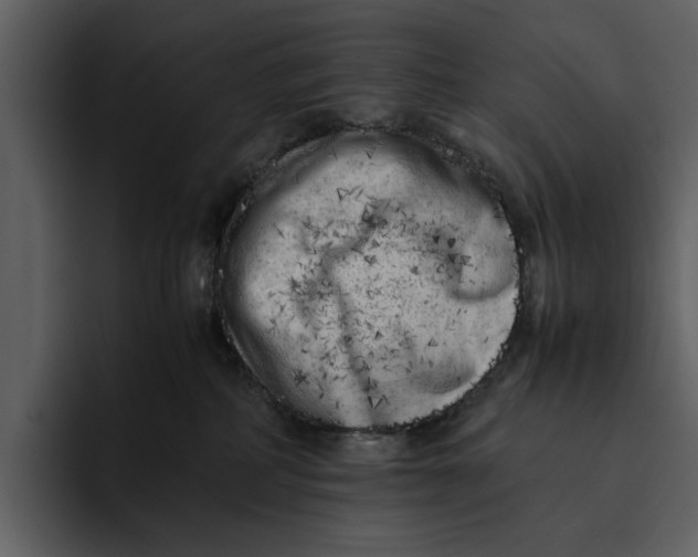 X0000095690234200801291223