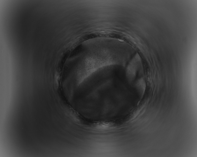 X0000095690235200801291223