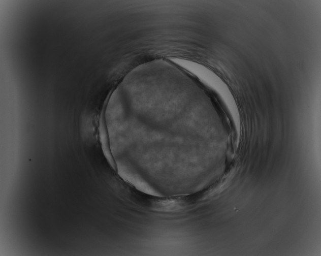 X0000095690237200801291223