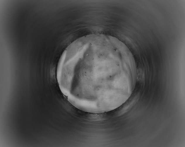 X0000095690238200801291223