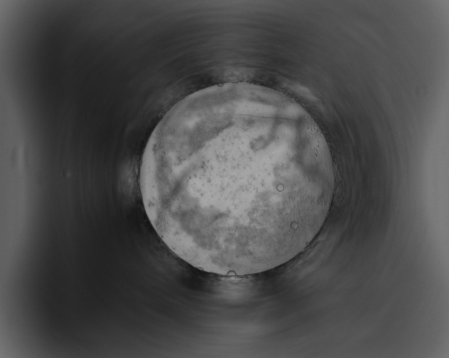 X0000095690240200801291223