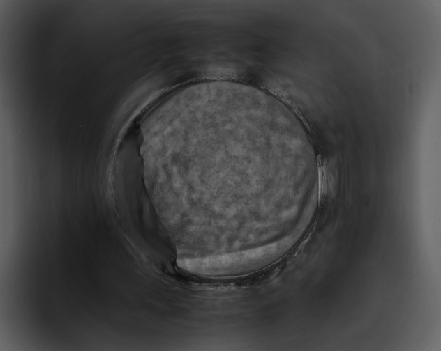 X0000095690243200801291223