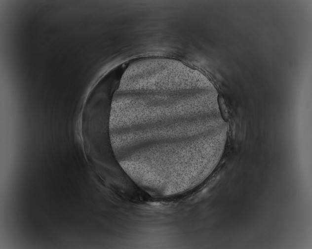 X0000095690244200801291223