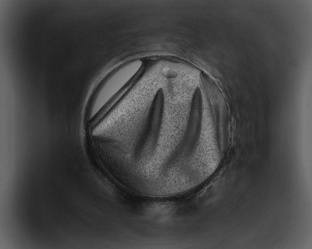 X0000095690248200801291223