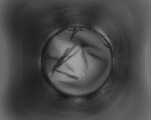 X0000095690249200801291223