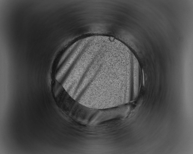 X0000095690252200801291223