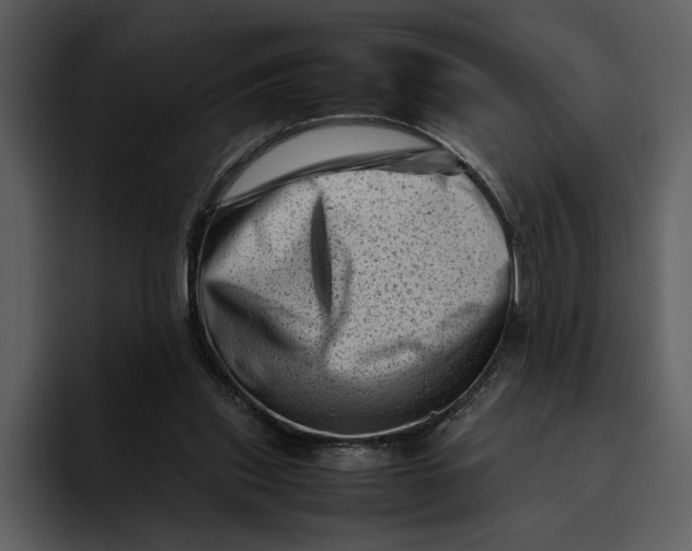 X0000095690253200801291223