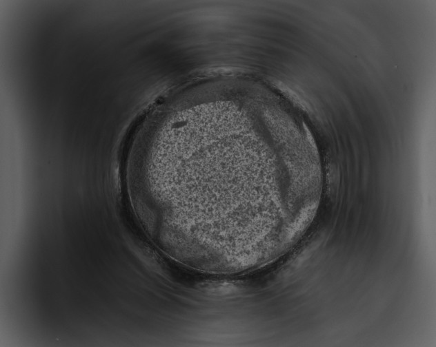 X0000095690254200801291223