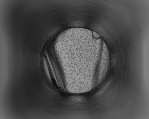 X0000095690255200801291223