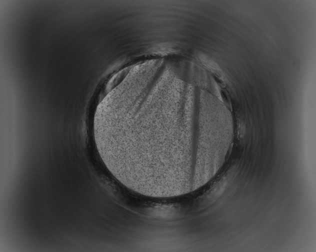 X0000095690256200801291223