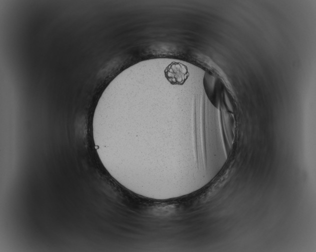 X0000095690257200801291223