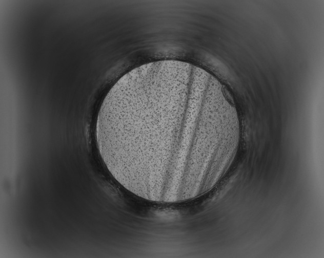 X0000095690258200801291223