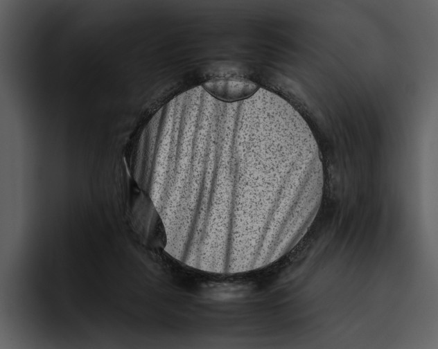 X0000095690259200801291223