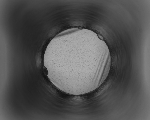 X0000095690261200801291223