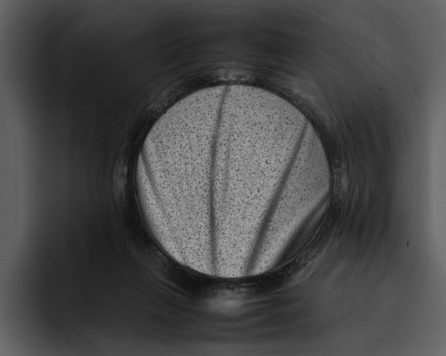 X0000095690263200801291223