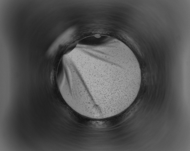 X0000095690265200801291223