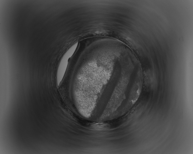 X0000095690269200801291223