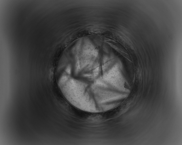 X0000095690271200801291223