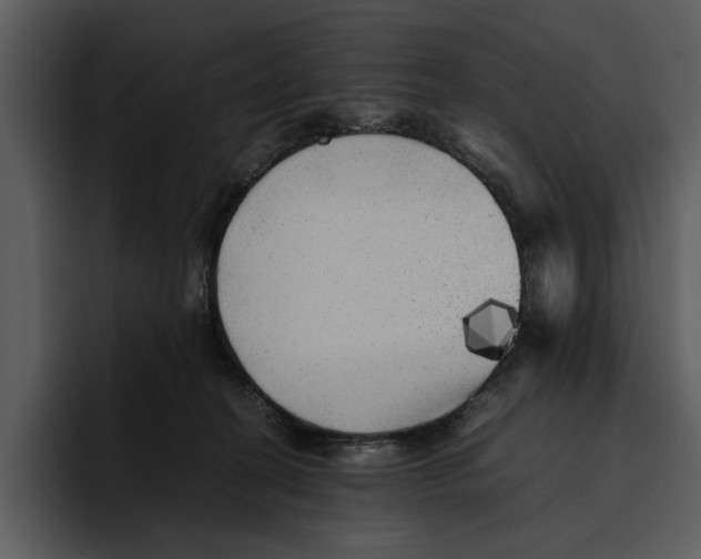 X0000095690274200801291223