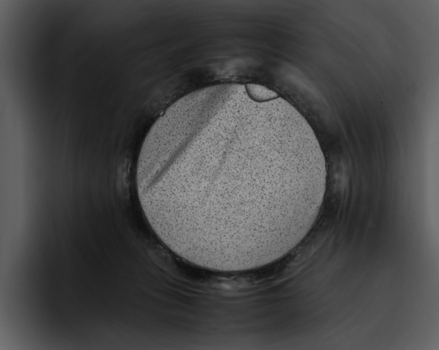 X0000095690275200801291223