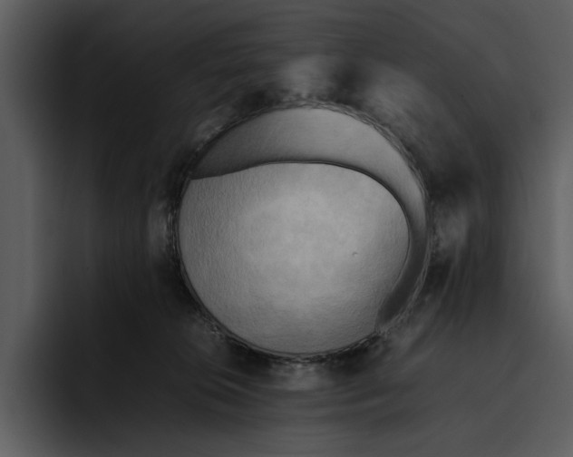 X0000095690276200801291223