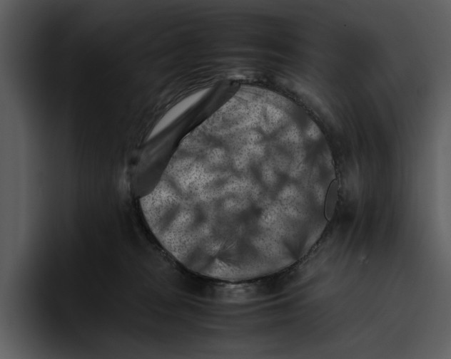 X0000095690277200801291223