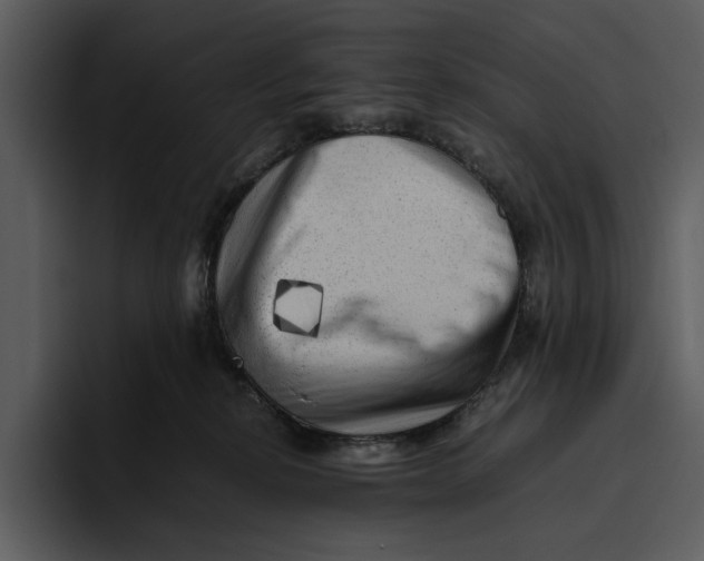 X0000095690278200801291223