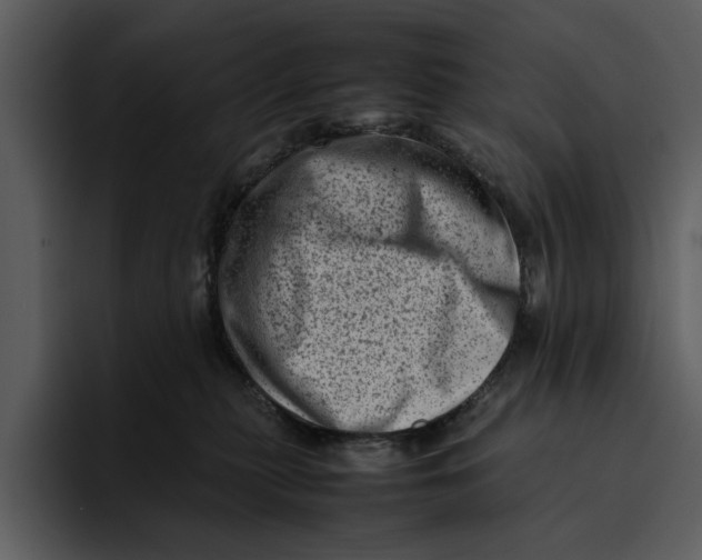 X0000095690279200801291223