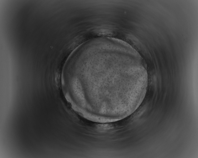 X0000095690281200801291223