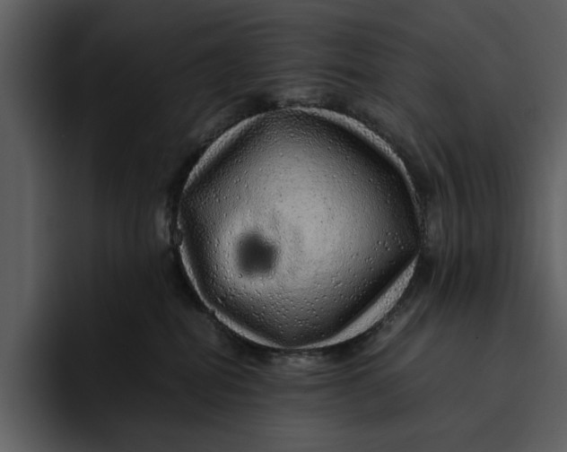 X0000095690282200801291223